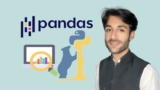 The Pandas Bootcamp | Data Analysis with Pandas Python3 | Udemy Coupons 2024